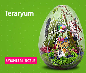 Teraryum